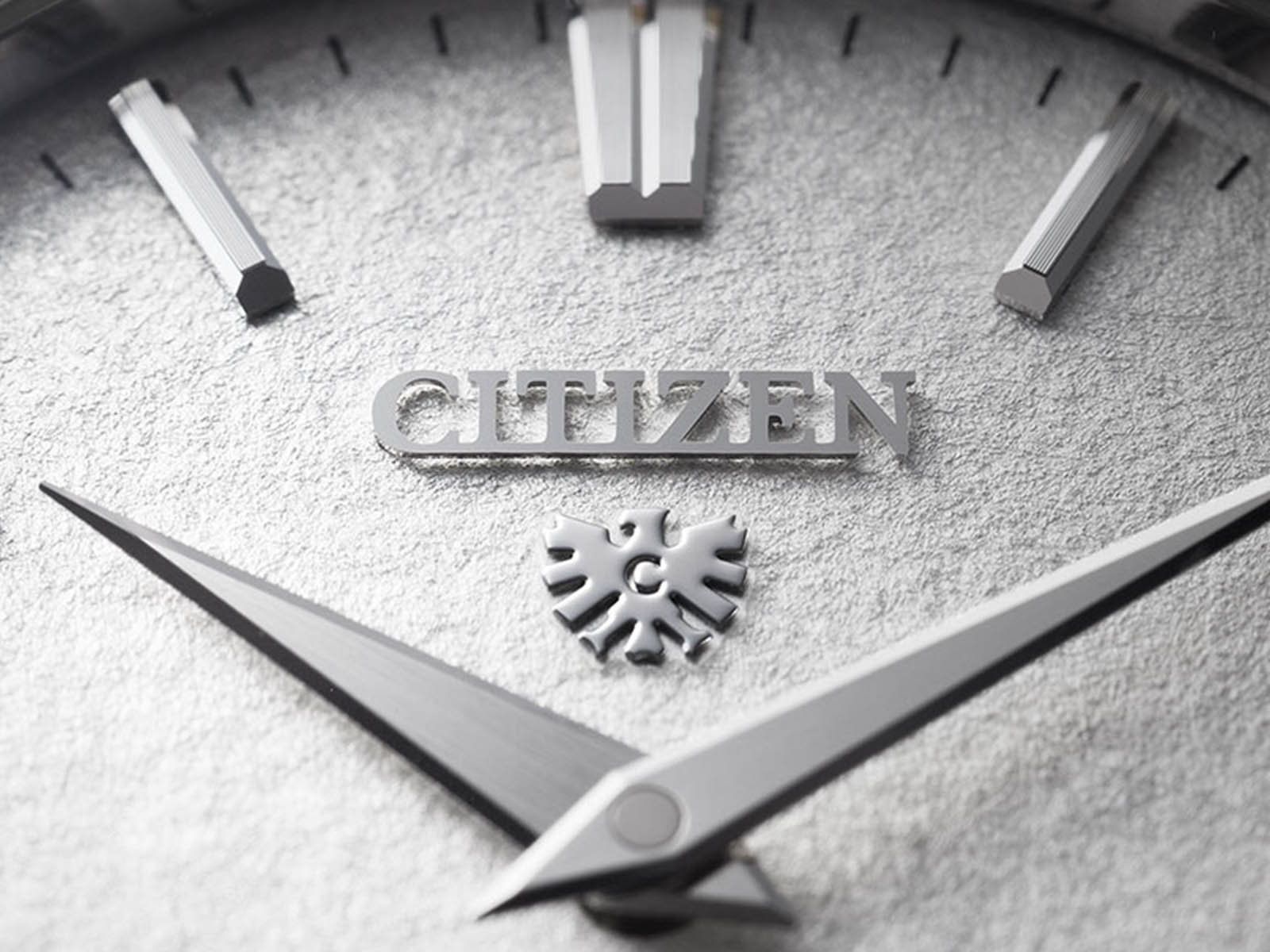 citizen-mechanical-caliber-0210-date-13.jpg