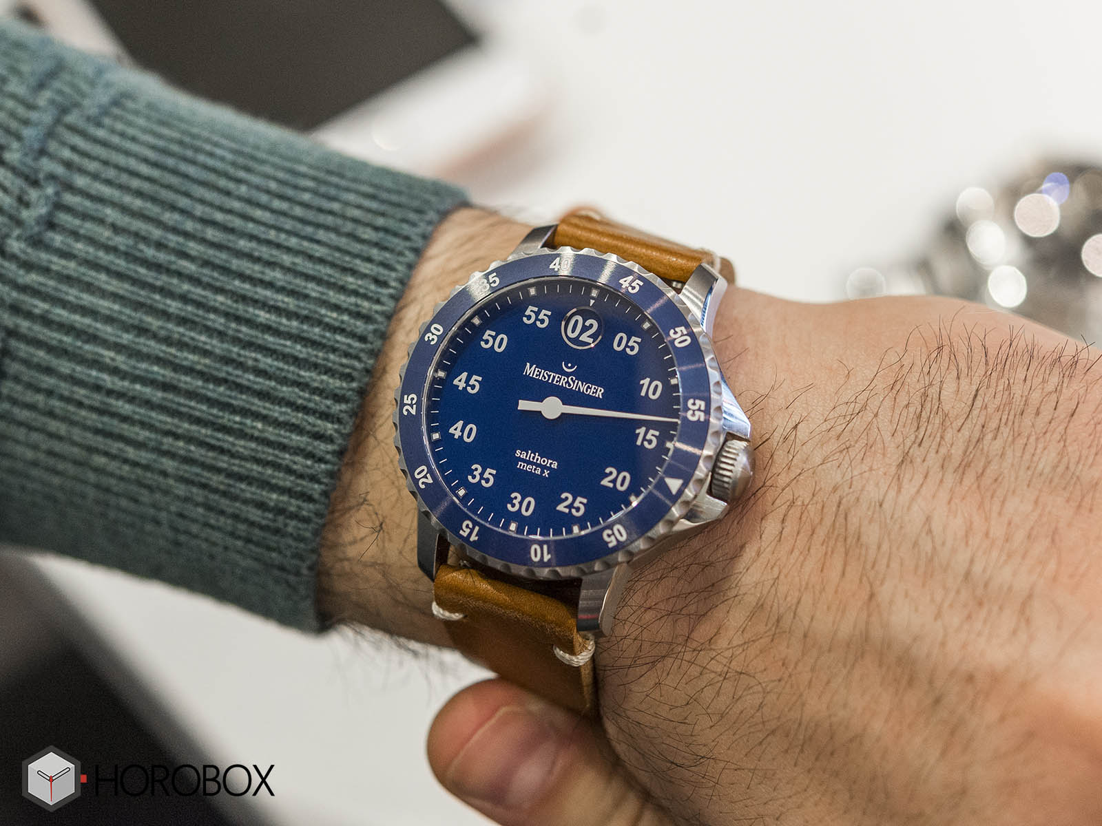 Meistersinger salthora meta online