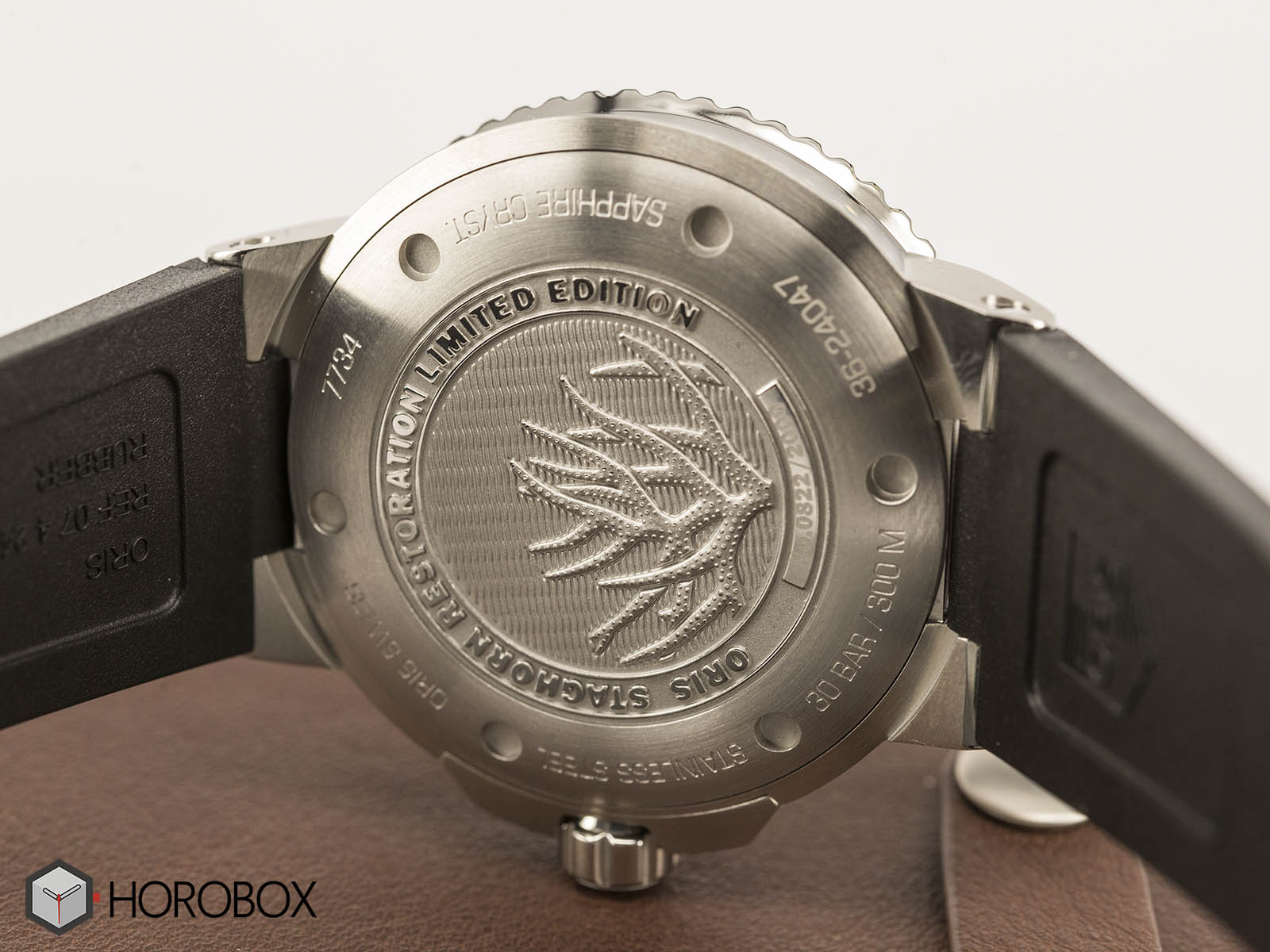 Oris-Staghorn-Restoration-Limited-Edtion-4.jpg