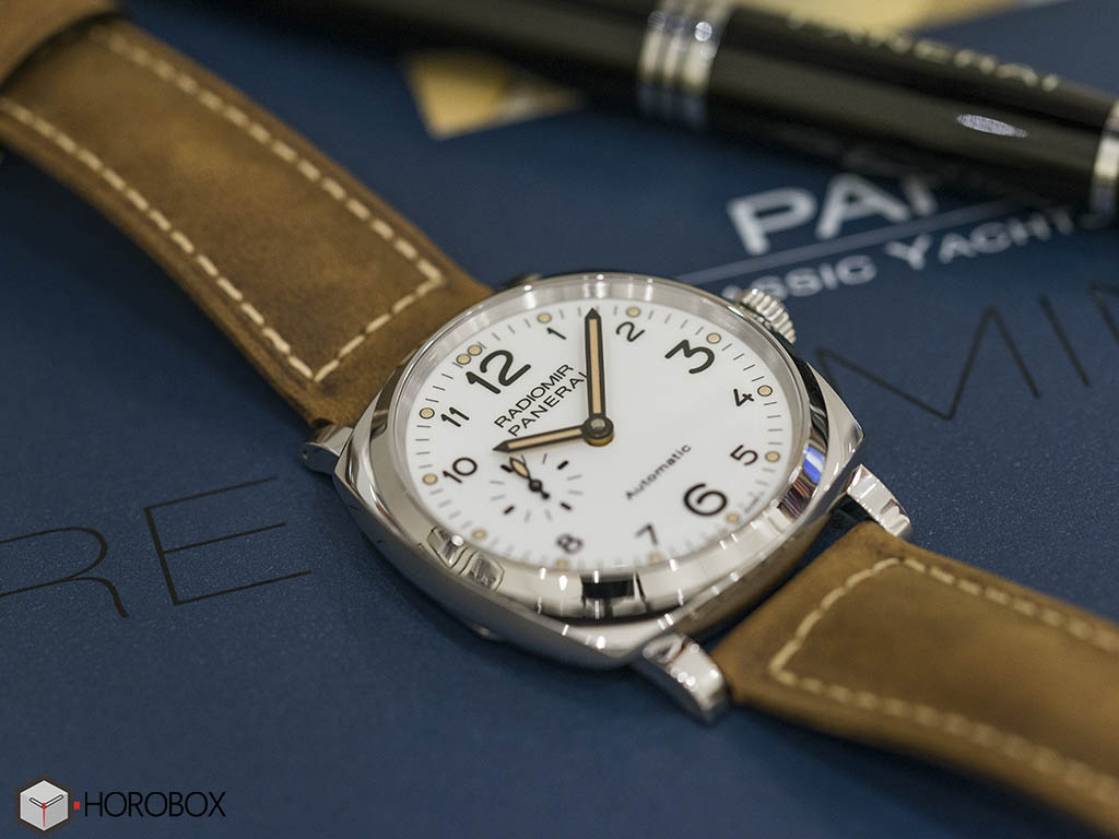 Assolutamente panerai hotsell