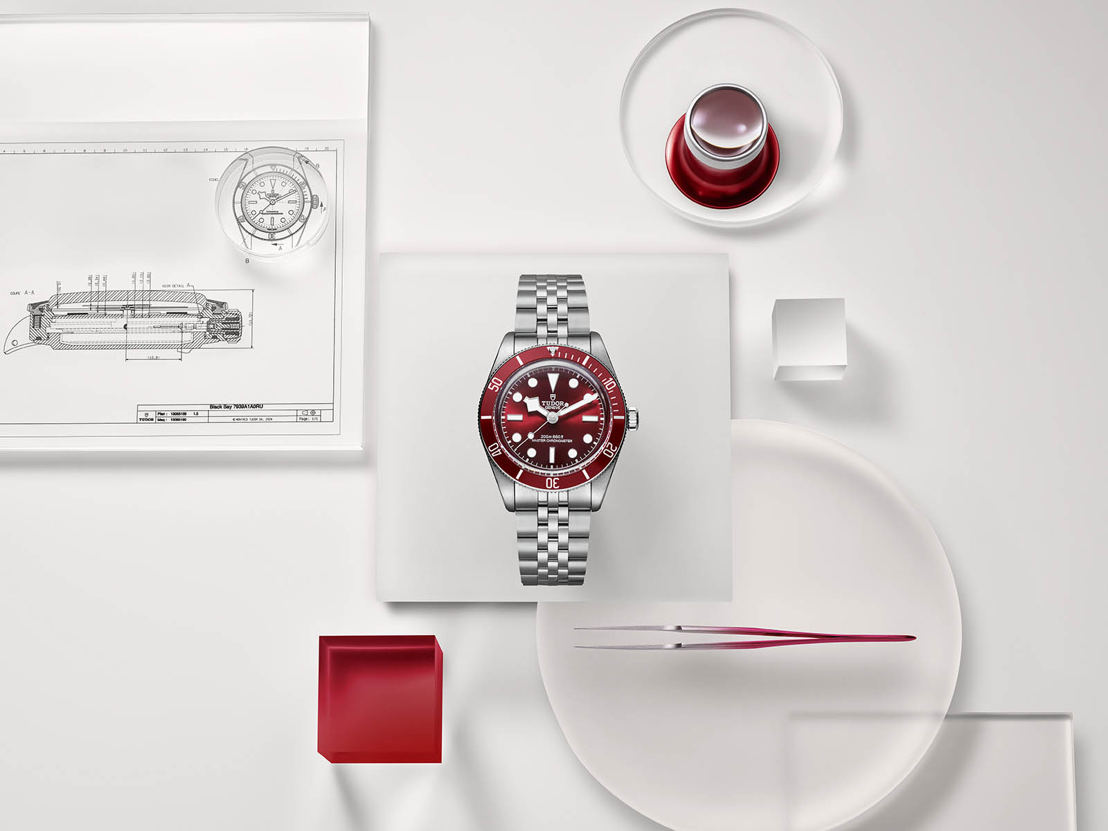 tudor-black-bay-58-all-burgundy-2-.jpg