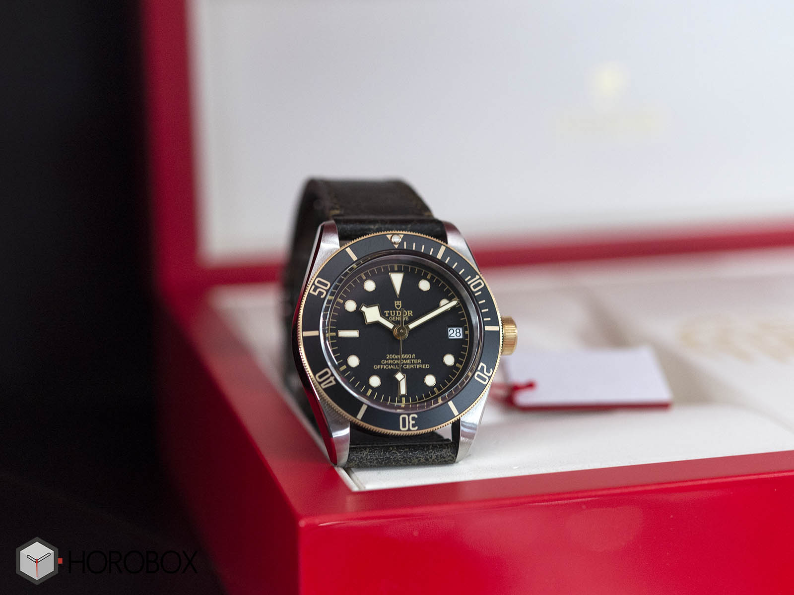 Tudor-Heritage-Black-Bay-Steel-Gold-4.jpg