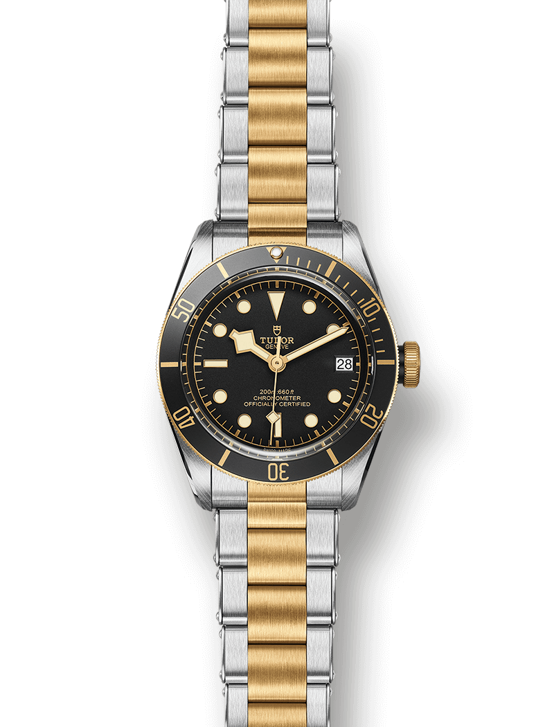 Tudor-Heritage-Black-Bay-Steel-Gold-8.png