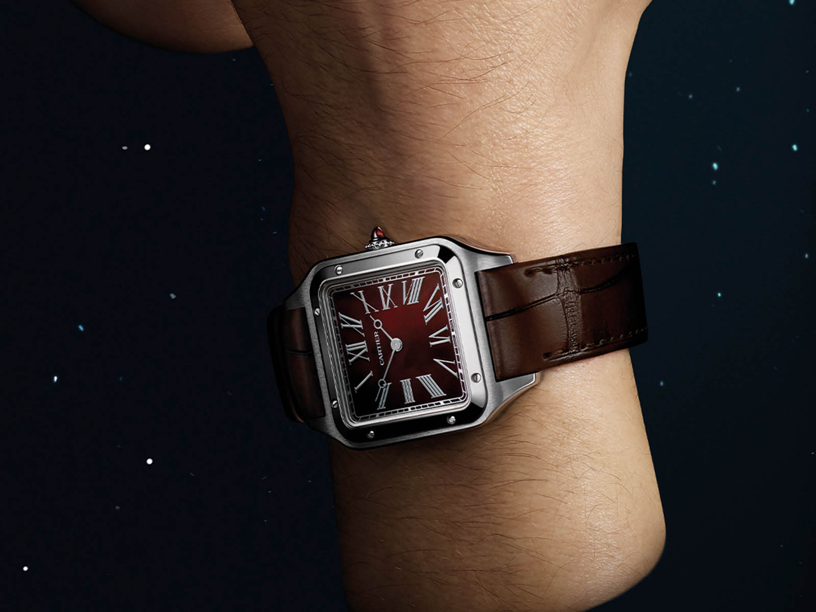cartier-watches-wonders-2024-12.jpg
