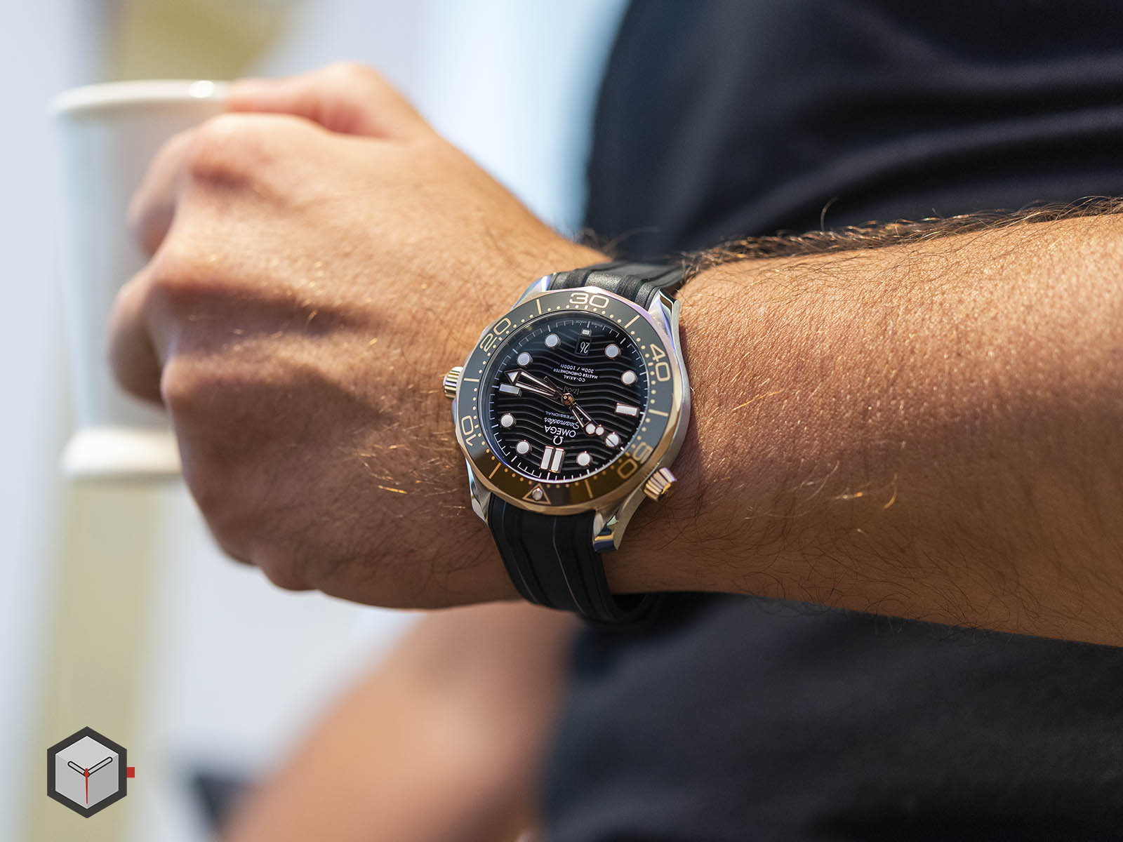 Omega seamaster 300 sedna gold cheap