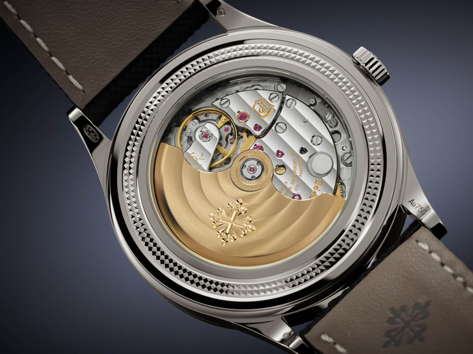 6159g-001-patek-philippe-perpetual-calendar-retrograde-date-7-.jpg