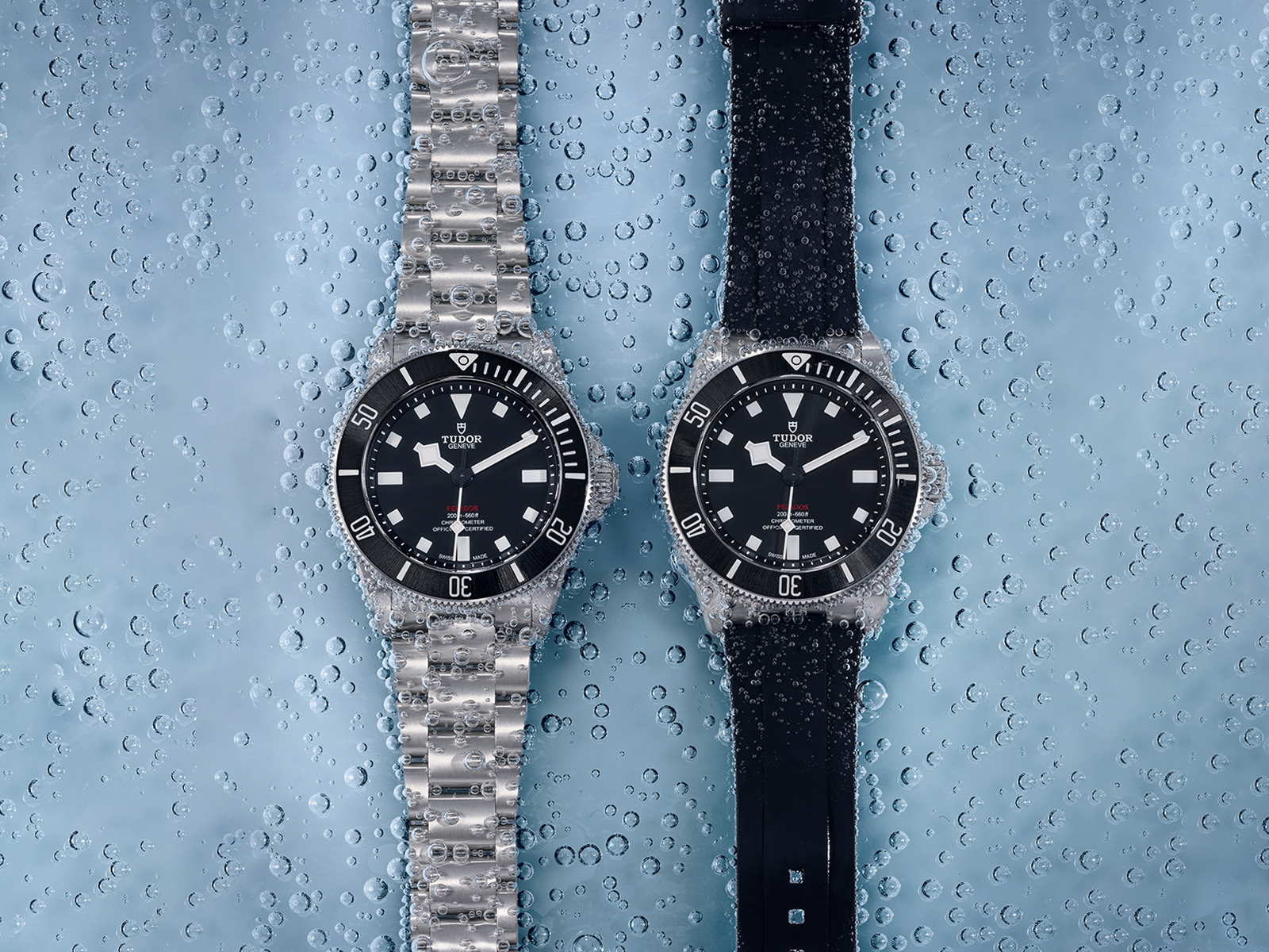 Tudor Pelagos 39mm Reference: 25407N.