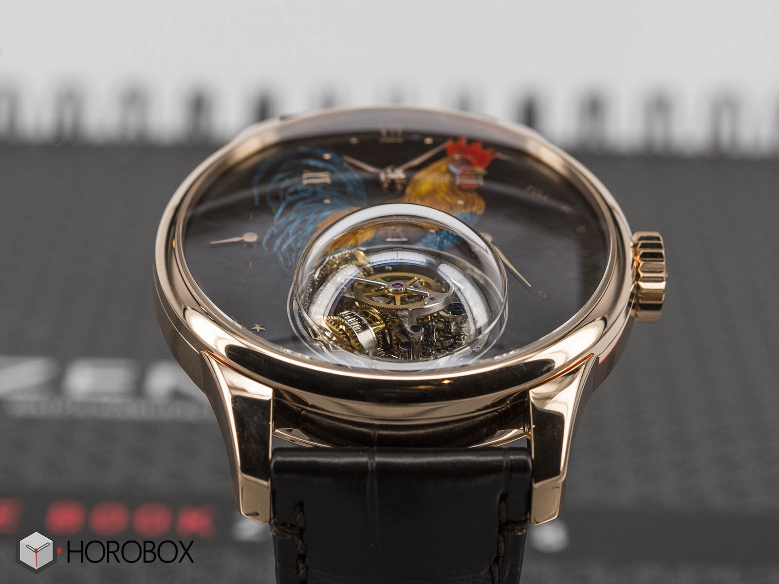 Zenith academy christophe colomb hotsell