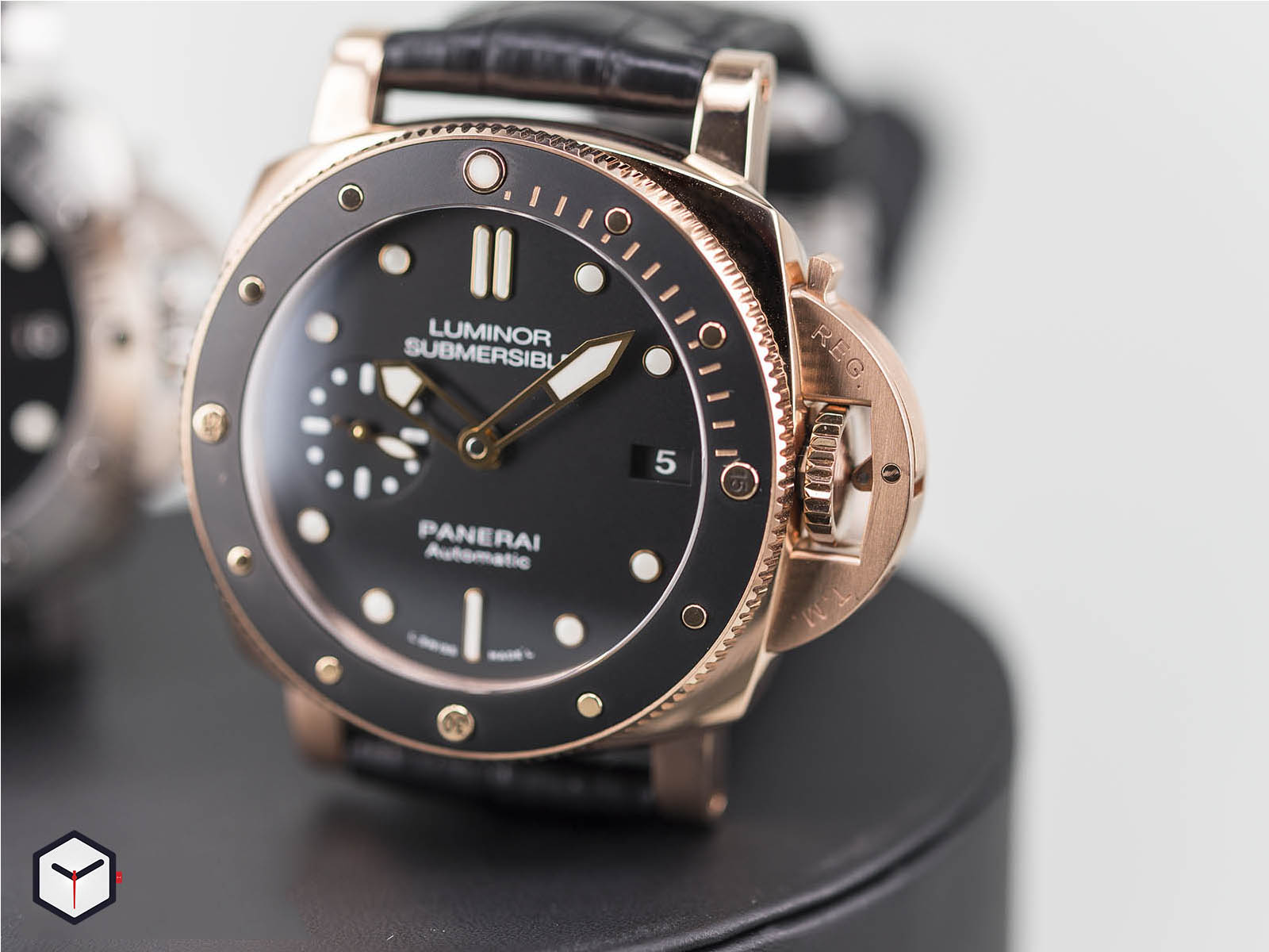 Pam00682 review online