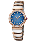 Lvcea Automatic Stainless Steel & Gold