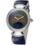 Divas' Dream Peacock