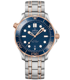 Seamaster Diver 300