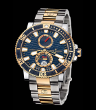 Marine Diver