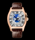Tortue multiple  time zone