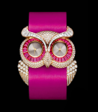Owl Watch