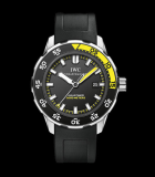 Aquatimer Automatic 2000
