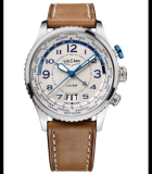 Aviator Cricket Steel