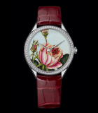 Florilege - Rose Centifolia White Gold